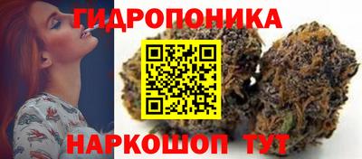 стафф Гусев