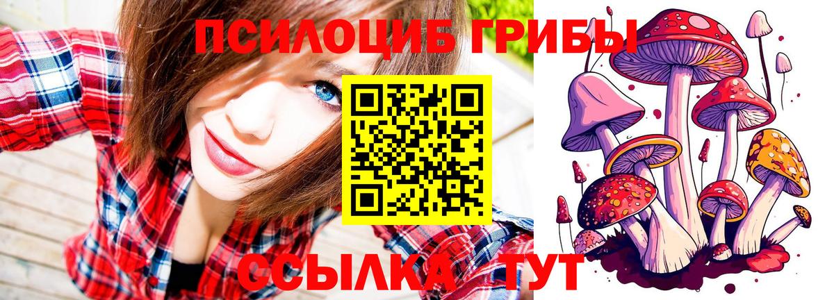Галлюциногенные грибы Psilocybine cubensis  Коломна  Галлюциногенные грибы Cubensis 