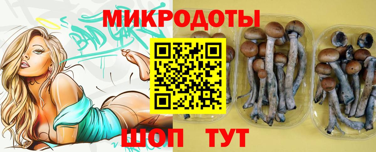 Псилоцибиновые грибы MAGIC MUSHROOMS Коломна
